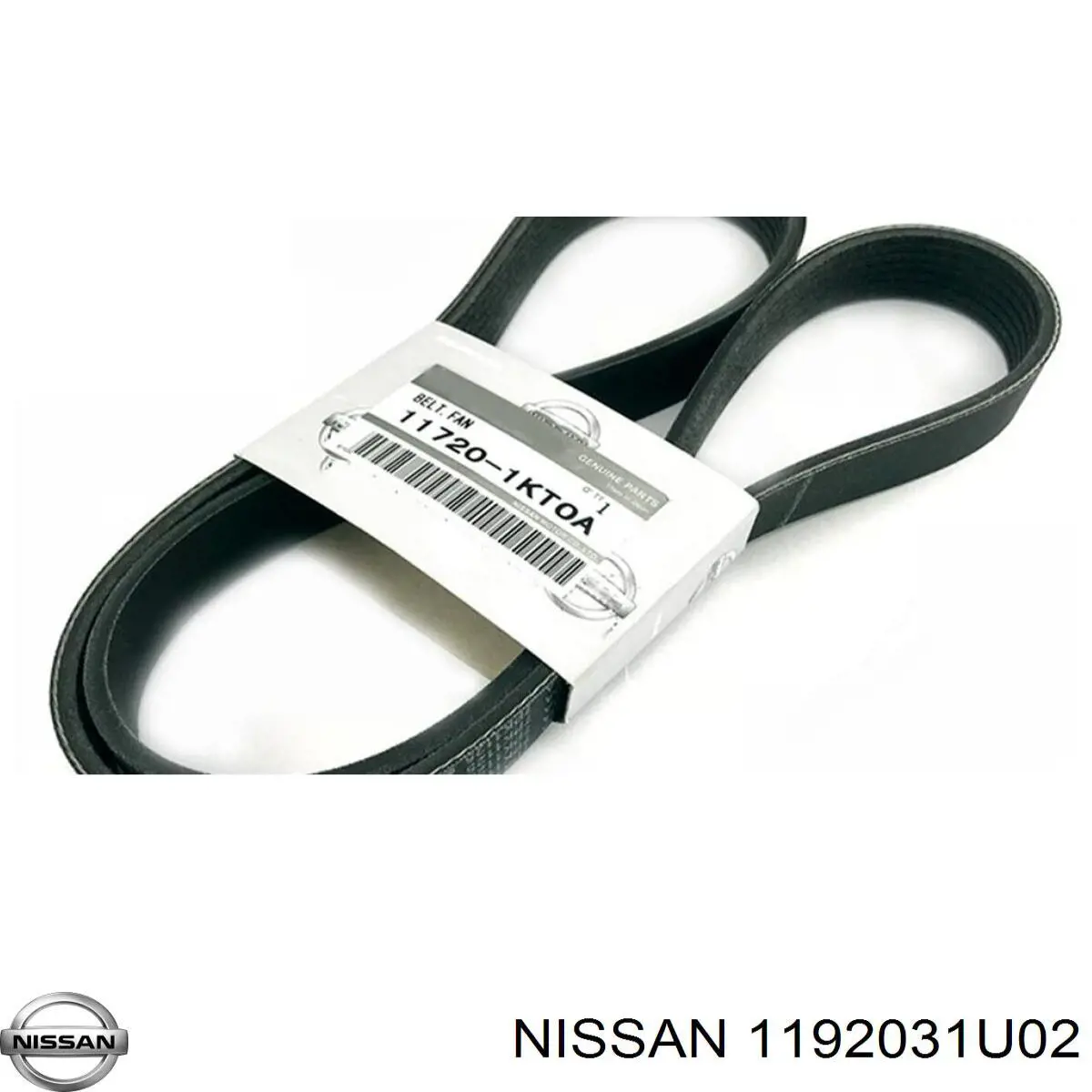 Ремінь генератора 1192031U02 Nissan/Infiniti