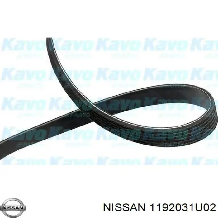 Клиновий ремінь Nissan/Infiniti 1192031U02 ціна, від 9.19 USD