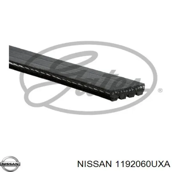 1192060UXA Nissan ремінь приводний, агрегатів