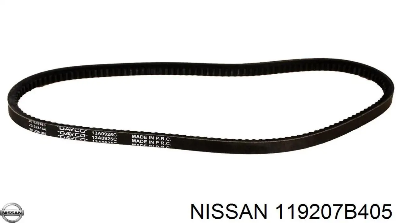  119207B405 Nissan