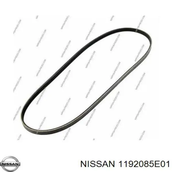 Купити 1192085E01 Nissan/Infiniti Ремінь генератора