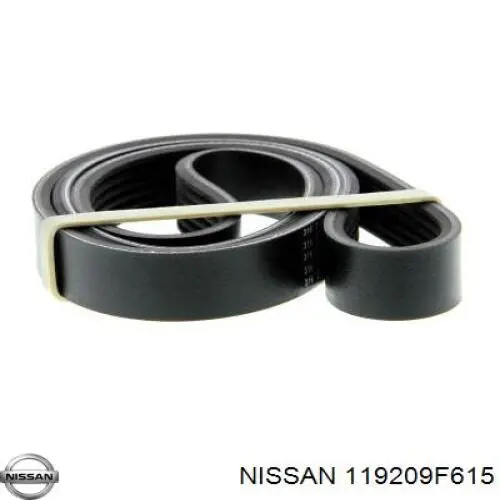 Клиновий ремінь Nissan/Infiniti 119209F615 ціна, від 12.17 USD