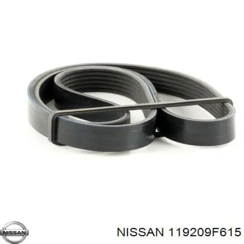 Купити 119209F615 Nissan/Infiniti Ремінь генератора