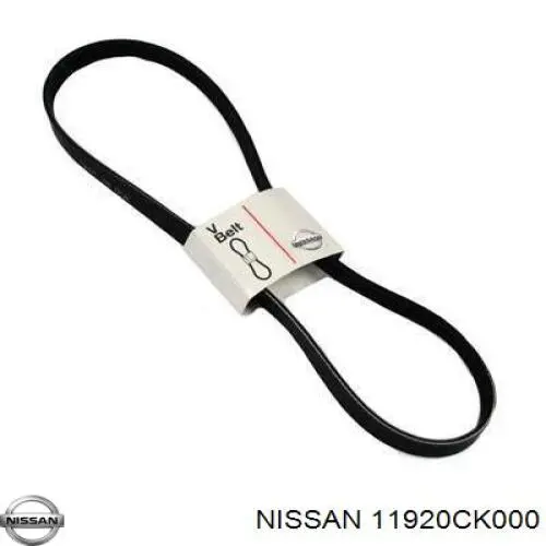 Купити 11920CK000 Nissan/Infiniti 