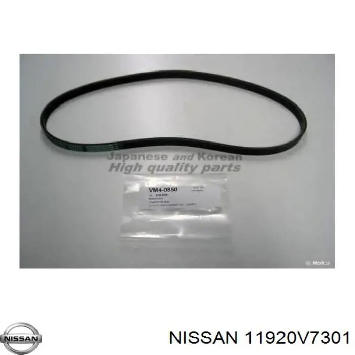 11920V7301 Nissan ремінь приводний, агрегатів