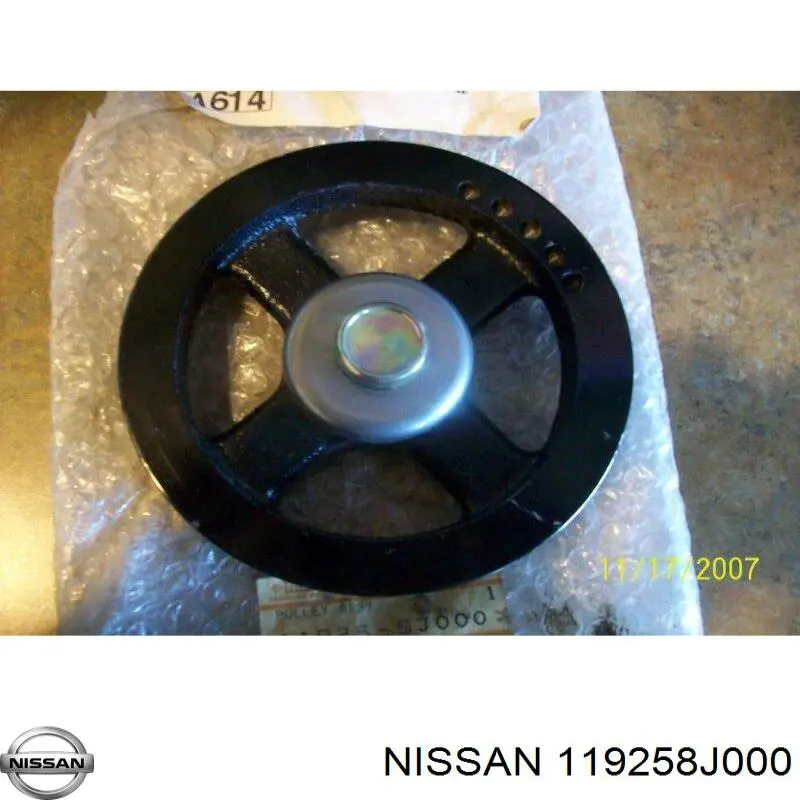 Ролик приводного ременя, паразитний Nissan Altima L31 (Нісан Altima)