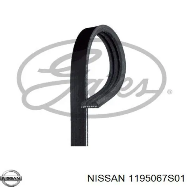 Купити 1195067S01 Nissan/Infiniti 