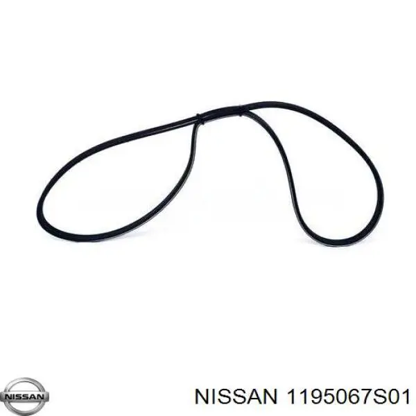  1195067S01 Nissan/Infiniti
