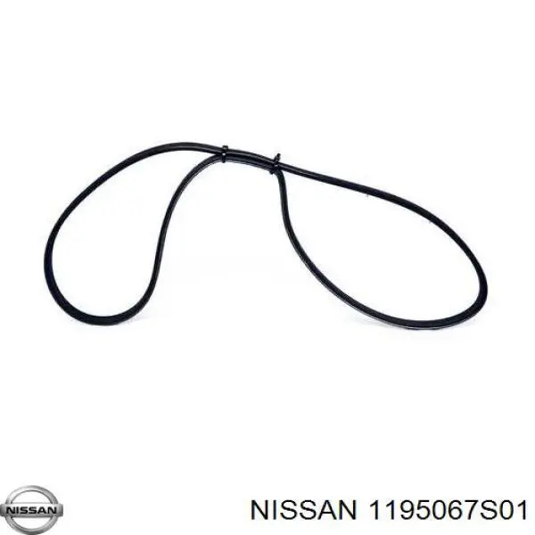 1195067S01 Nissan/Infiniti 