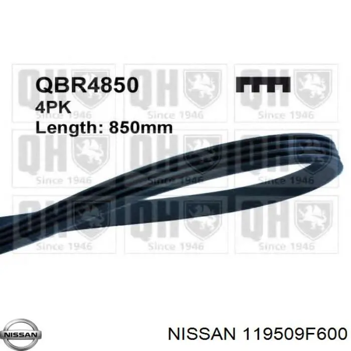 Ремінь генератора 119509F600 Nissan/Infiniti