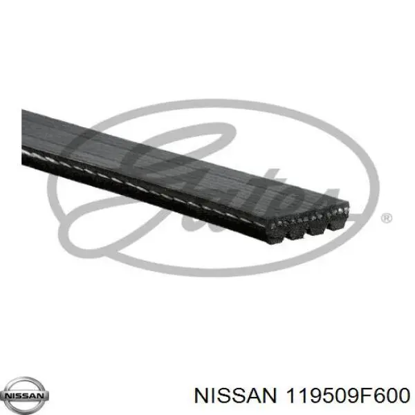 Купити 119509F600 Nissan/Infiniti Ремінь генератора