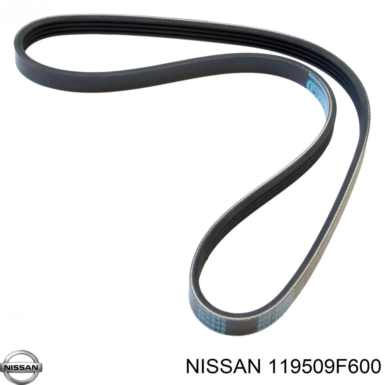 119509F600 Nissan ремінь приводний, агрегатів