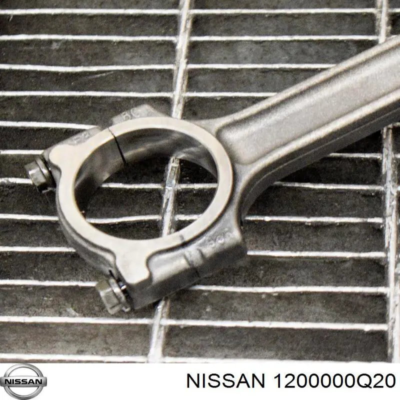  1200000Q20 Nissan/Infiniti