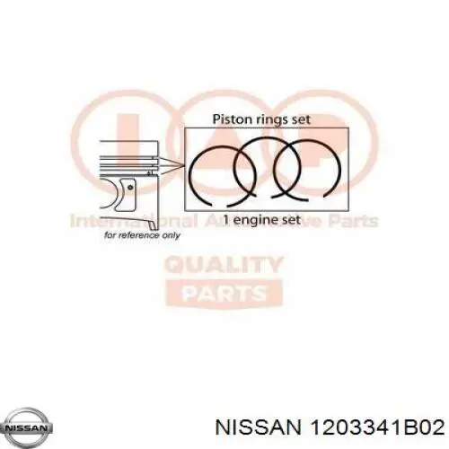 1203341B02 Nissan/Infiniti 