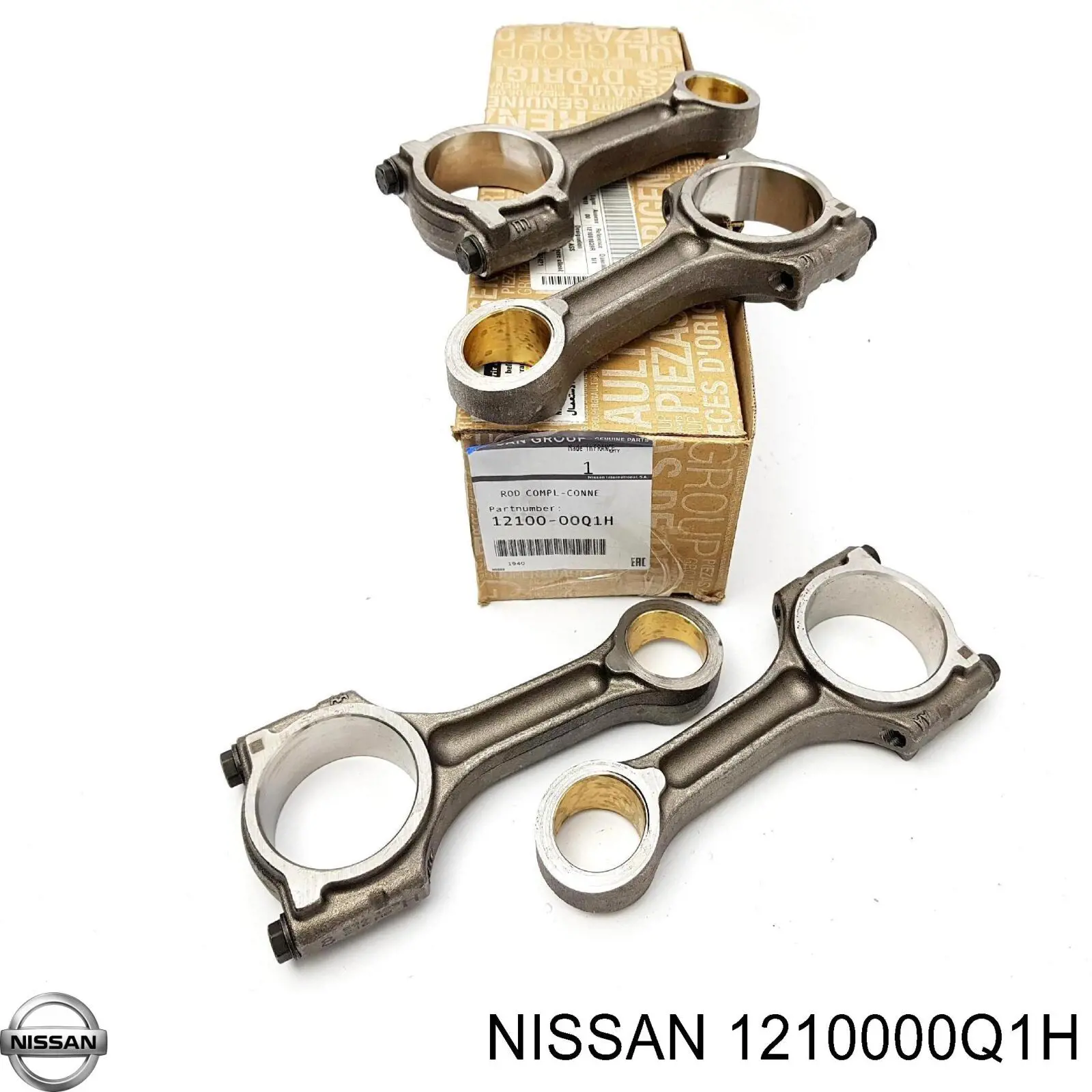  1210000Q1H Nissan