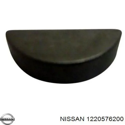 1220576200 Nissan/Infiniti 