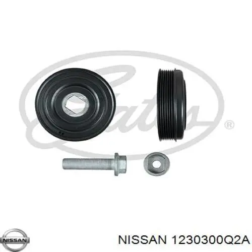 1230300Q2A Nissan/Infiniti Демпфер колінвалу