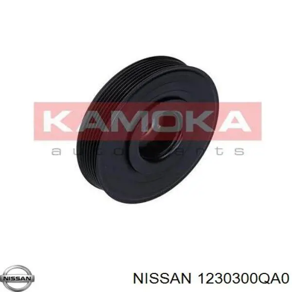 8200269975 Renault (RVI) Демпфер колінвалу