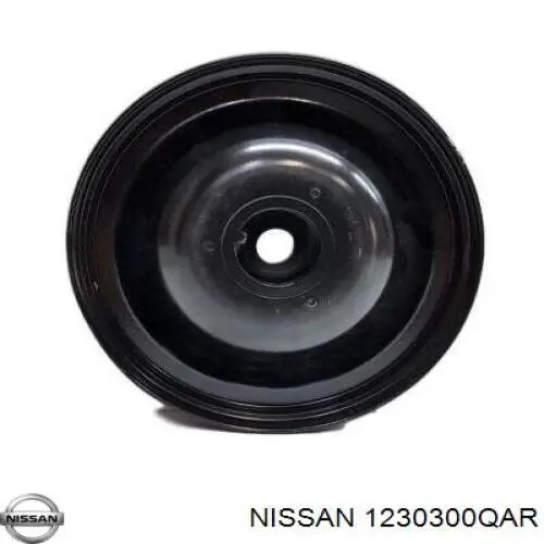 1230300QAR Nissan/Infiniti Демпфер колінвалу