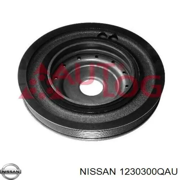 1230300QAU Nissan/Infiniti Демпфер колінвалу