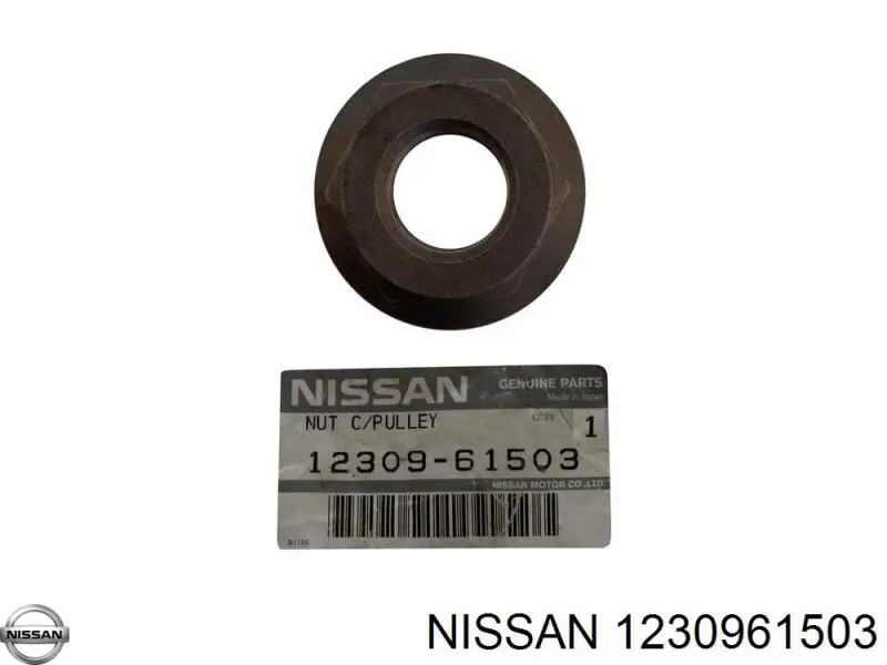  1230961503 Nissan