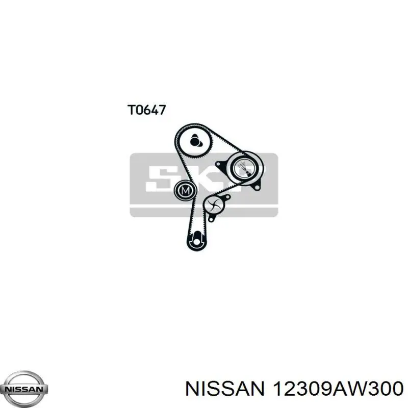 Болт колінвалу Nissan/Infiniti 12309AW300 ціна, від 9.60 USD