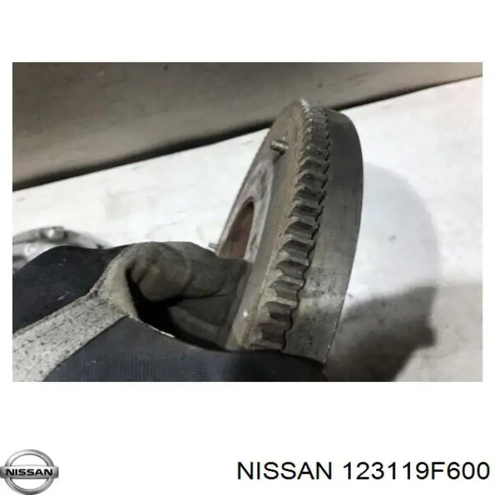  123119F600 Nissan/Infiniti