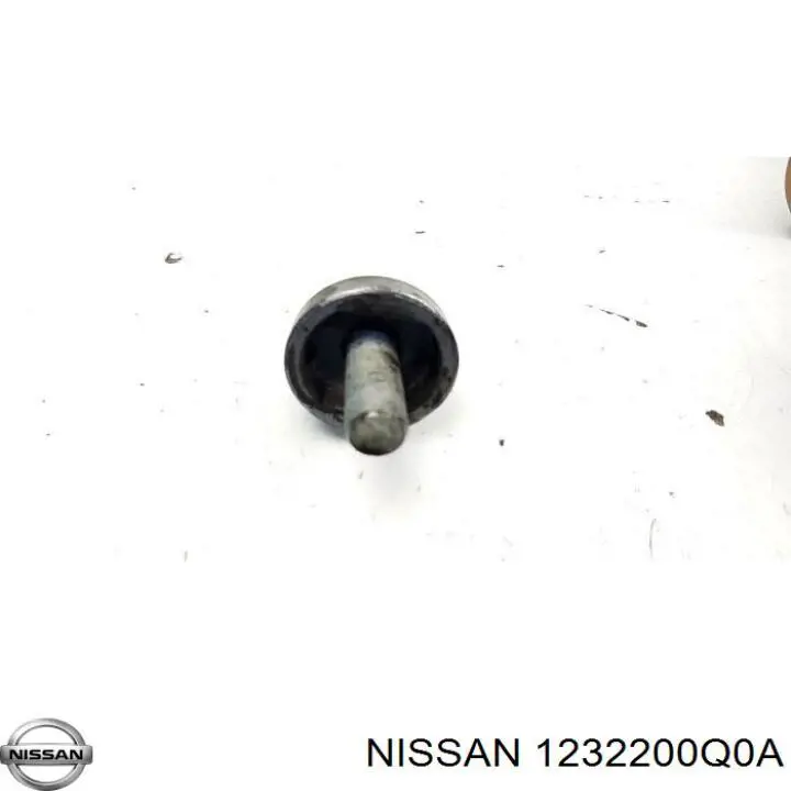 1232200Q0A Nissan кільце розпору колінчастого вала