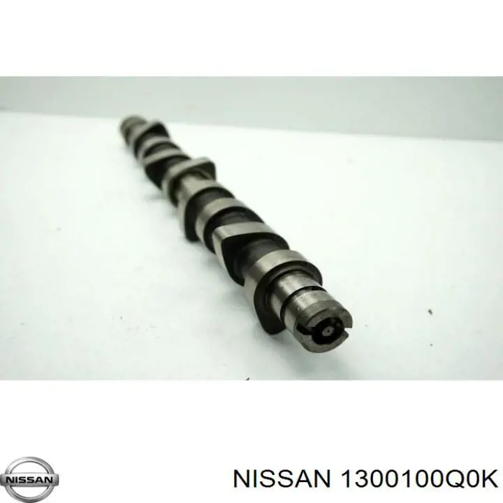 1300100Q0K Nissan/Infiniti 
