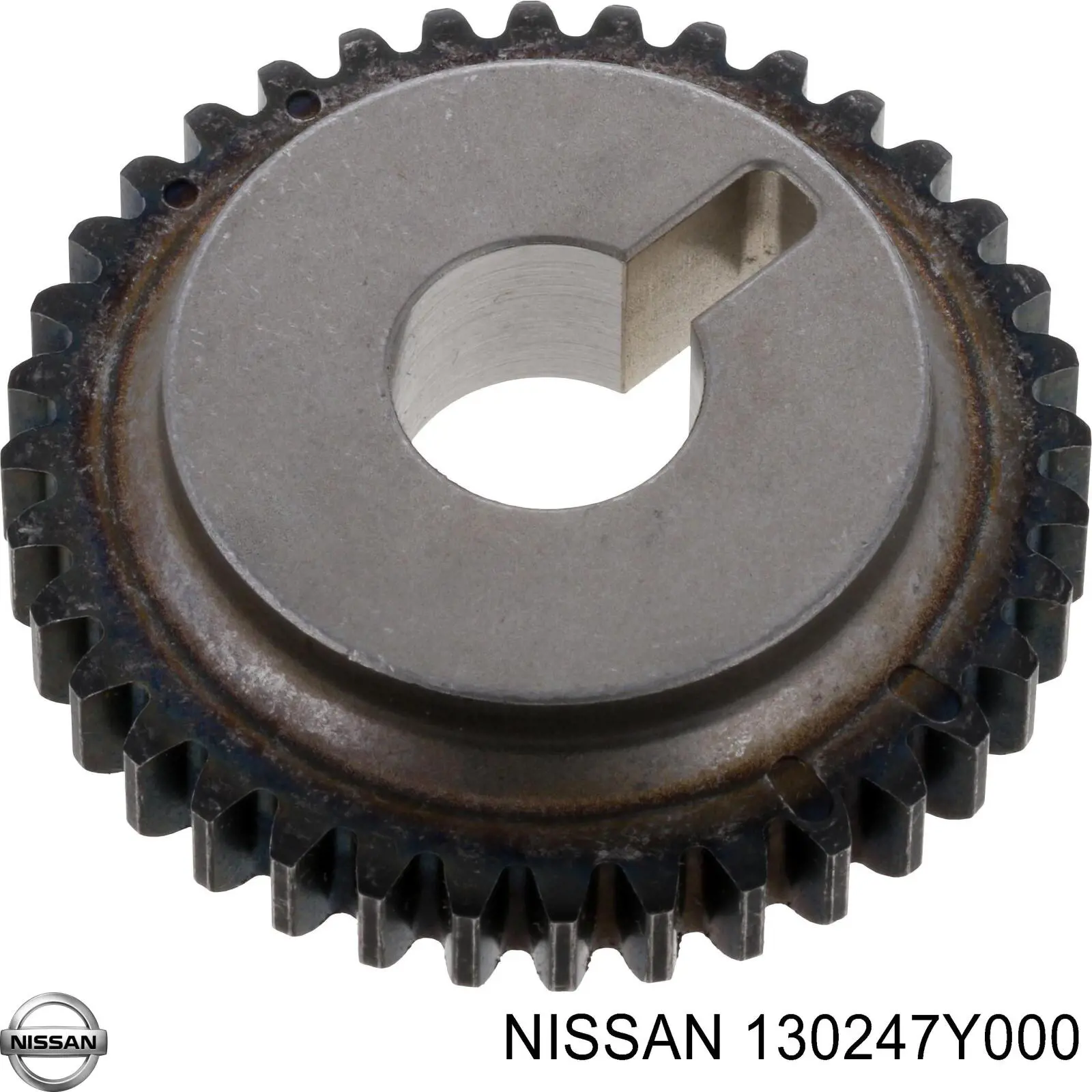  130247Y000 Nissan