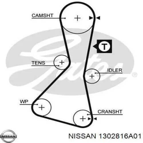 1302816A01 Nissan ремінь грм