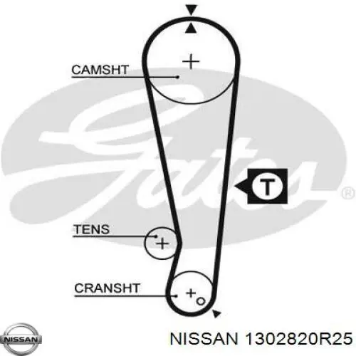 1302820R25 Nissan ремінь грм