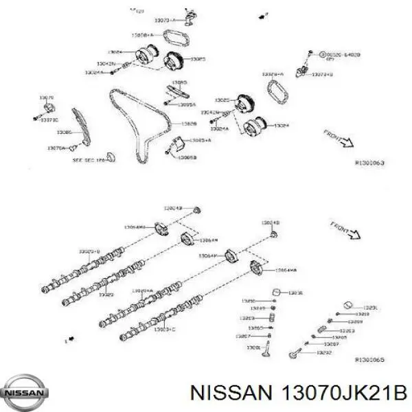 Натягувач ланцюга ГРМ розподілвалів, правого Nissan Teana (J31) (Нісан Теана)