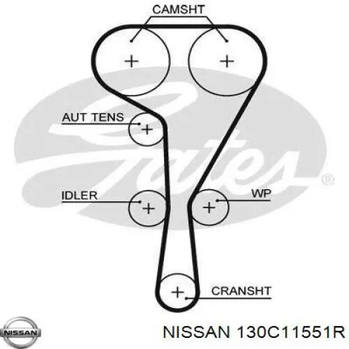 Ремінь ГРМ, комплект 130C11551R Nissan