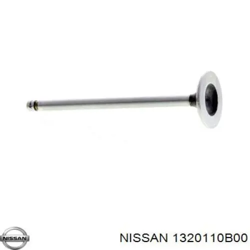 NA810 Rocky Клапан впускний