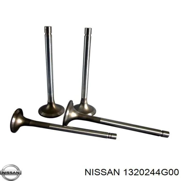 1320244G00 Nissan/Infiniti Клапан випускний