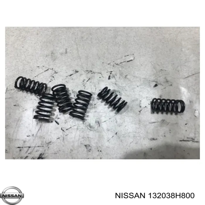 Купити 132038H800 Nissan/Infiniti 
