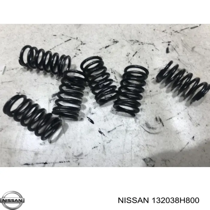  132038H800 Nissan