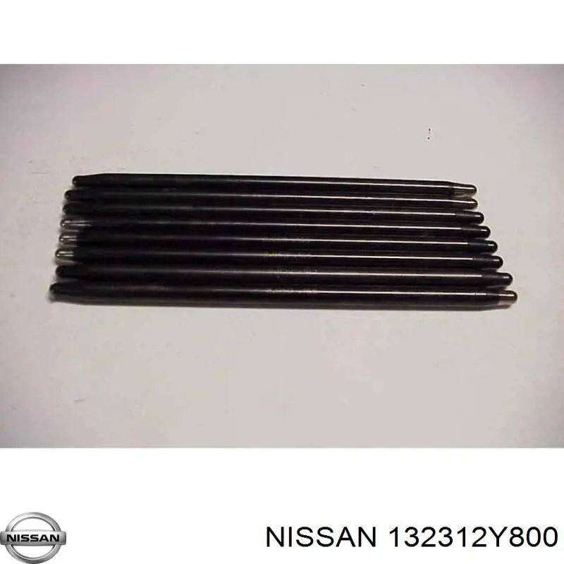 132312Y800 Nissan/Infiniti Гідрокомпенсатор