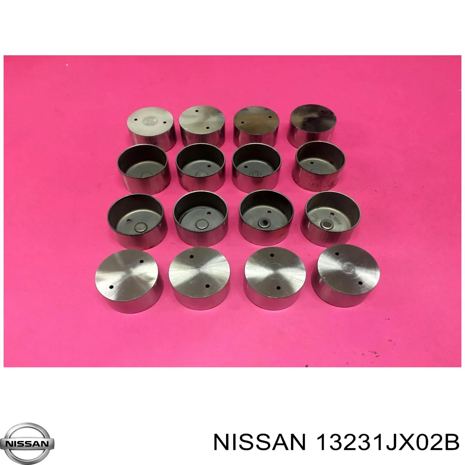 13231JX02B Nissan/Infiniti Гідрокомпенсатор