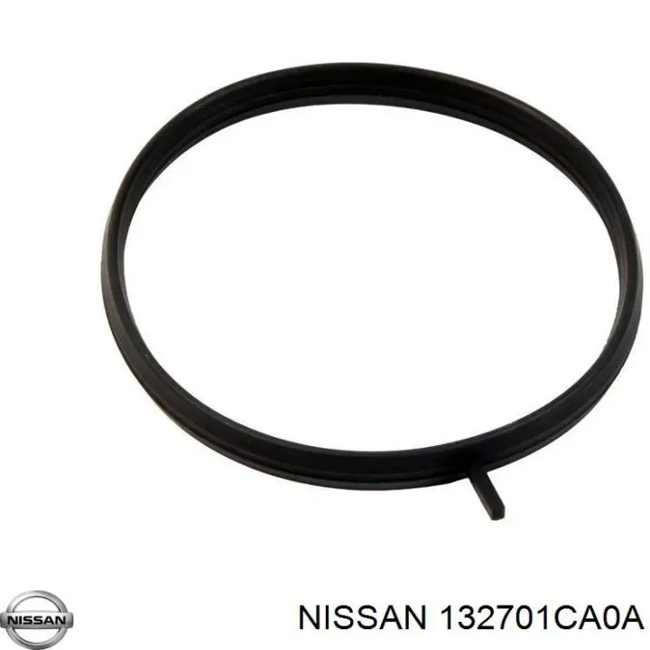 132701CA0A Nissan/Infiniti 