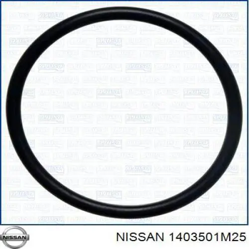  1403501M25 Nissan