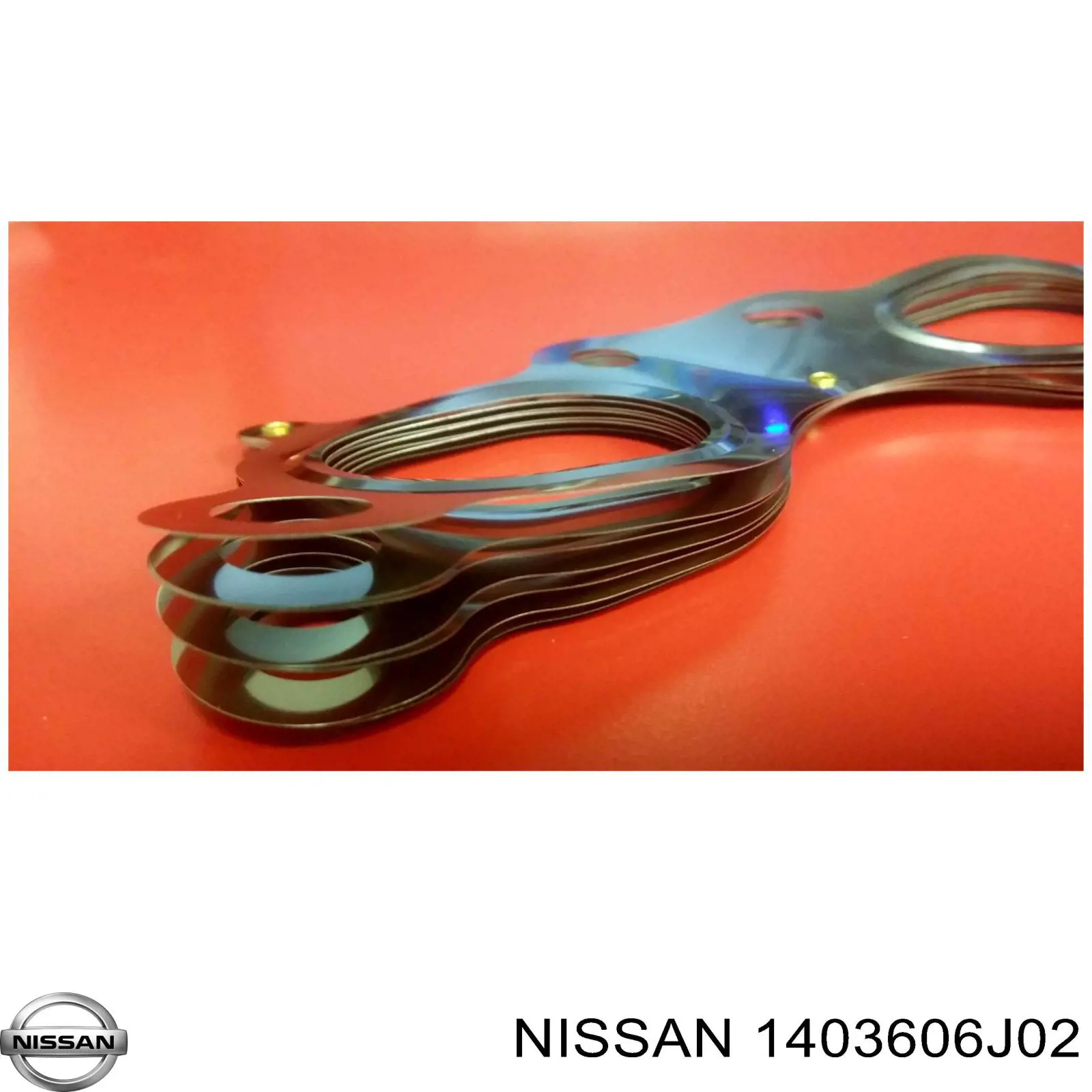  1403606J02 Nissan