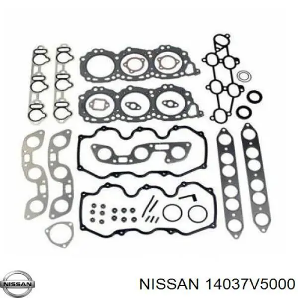 Прокладка випускного колектора, права Nissan Terrano (WD21) (Нісан Террано)