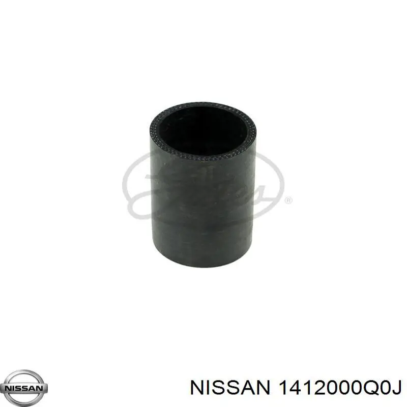 1412000Q0J Nissan/Infiniti 