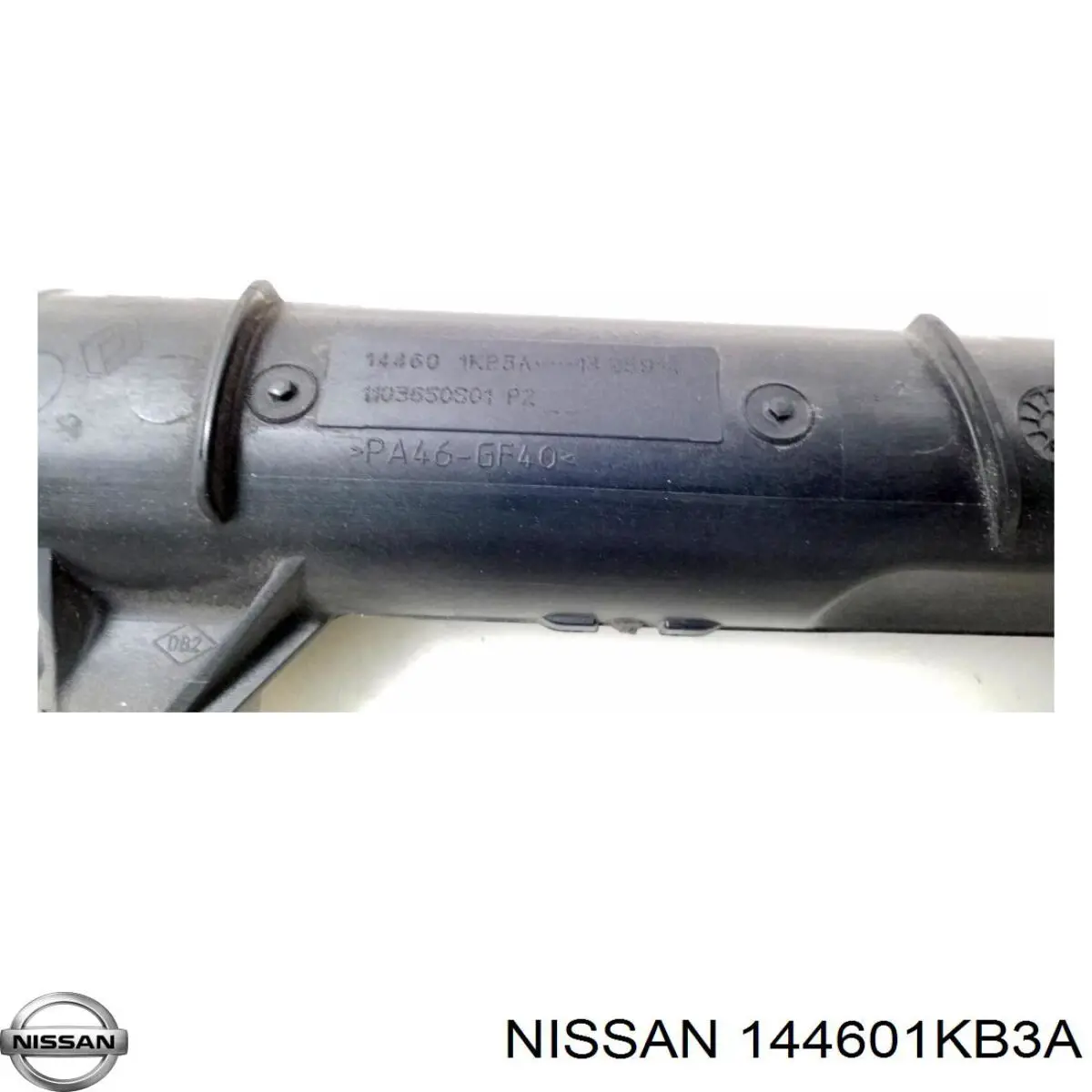 144601KB3A Nissan/Infiniti 