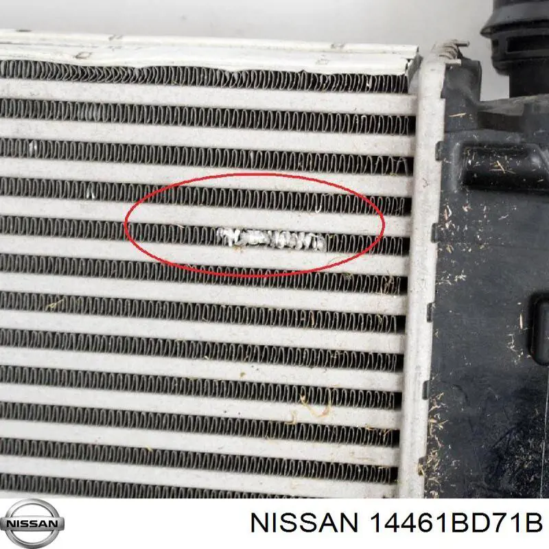 14461BD71A Nissan/Infiniti Охолоджувач наддувочного повітря