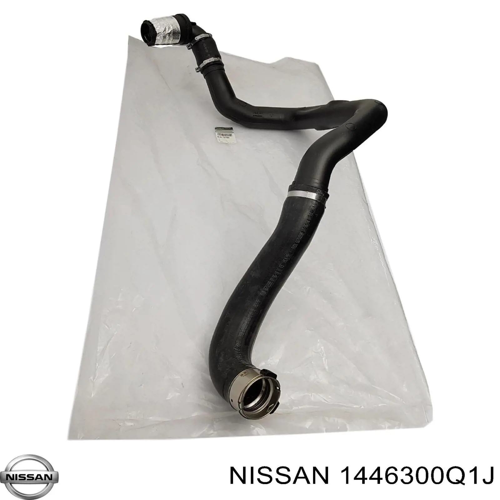  1446300Q1J Nissan