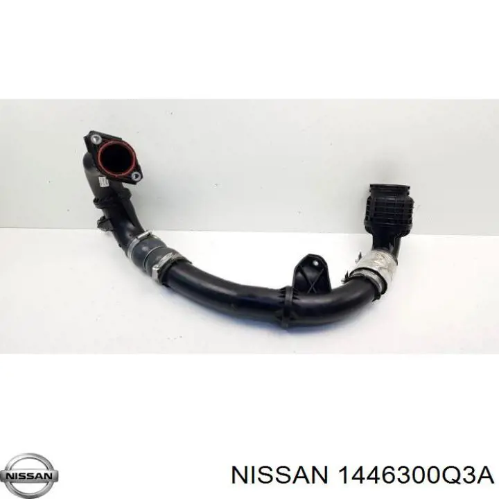 Шланг/патрубок интеркуллера Renault (RVI) 144603426R ціна, від 224.06 USD