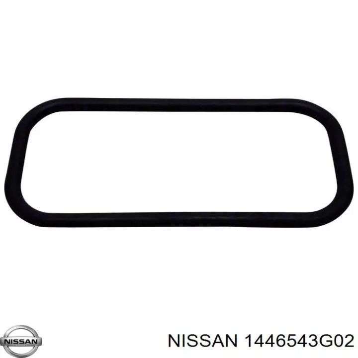 1446543G02 Nissan/Infiniti 